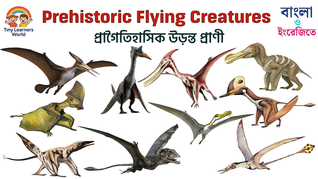 প্রাগৈতিহাসিক উড়ন্ত প্রাণী | Prehistoric Flying Creatures | ১০টি প্টেরোসরের নাম ও পরিচয়