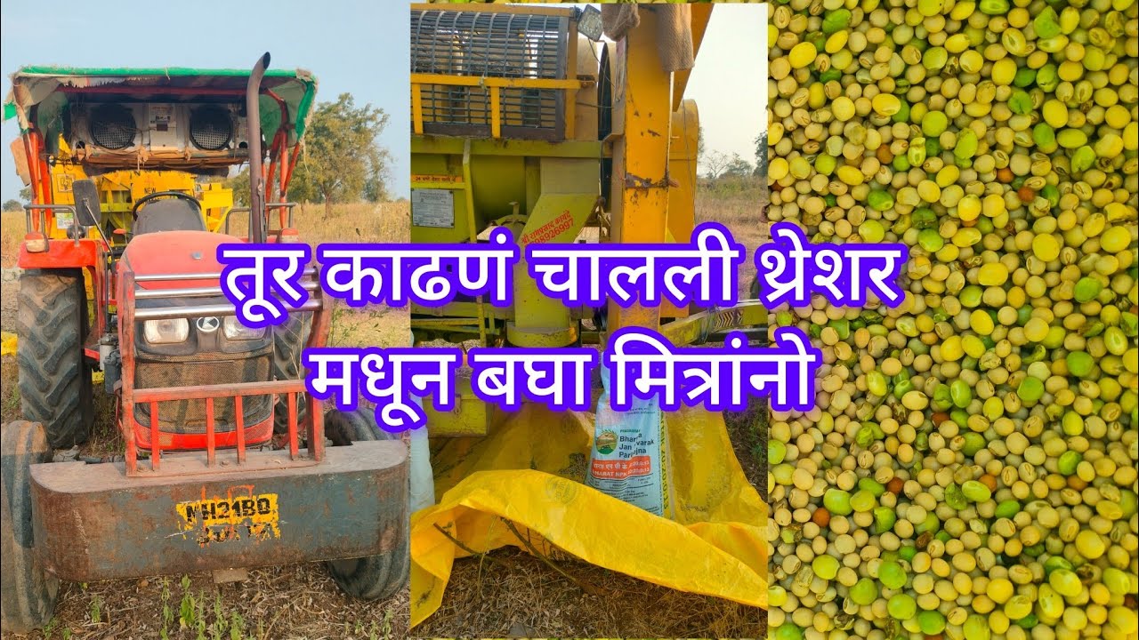 तूर काढणं चालली थ्रेशर मधून बघा मित्रांनो..