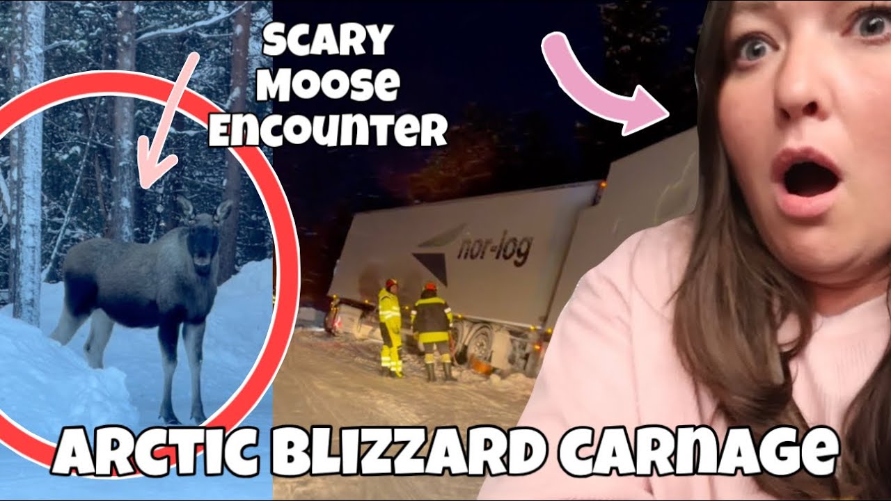 Scary Moose Encounter & Road Carnage in an Arctic Blizzard Storm..
