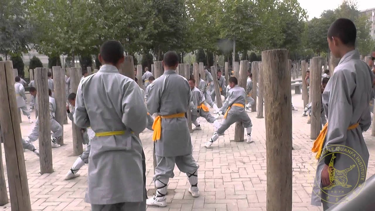 STQI To China & Shaolin Luohan Garden