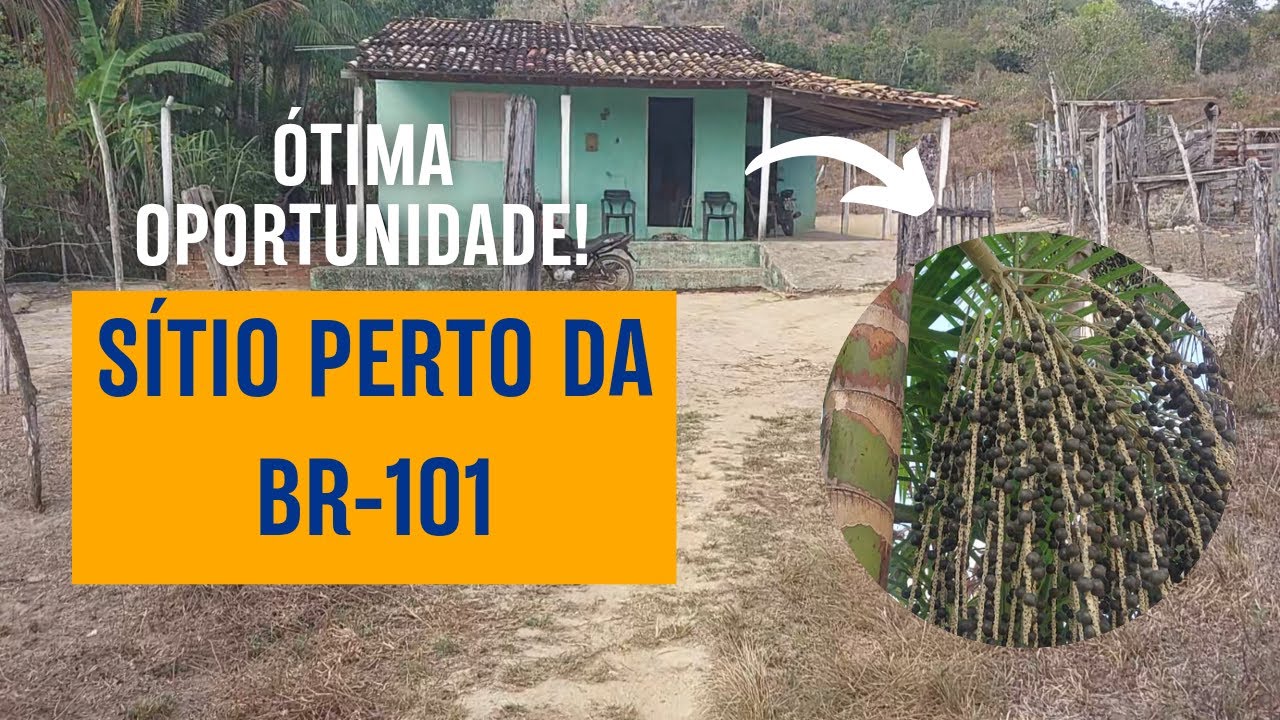ESSE SÍTIO CHEIO DE FRUTAS ESTÁ À VENDA E PODE SER SEU! ESTÂNCIA SERGIPE! (INDISPONÍVEL)