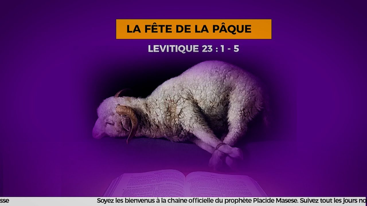 Partie 1 LES 7 FETES DE YHWH UNE SEULE FETE DANS PLUSIEURS FETES