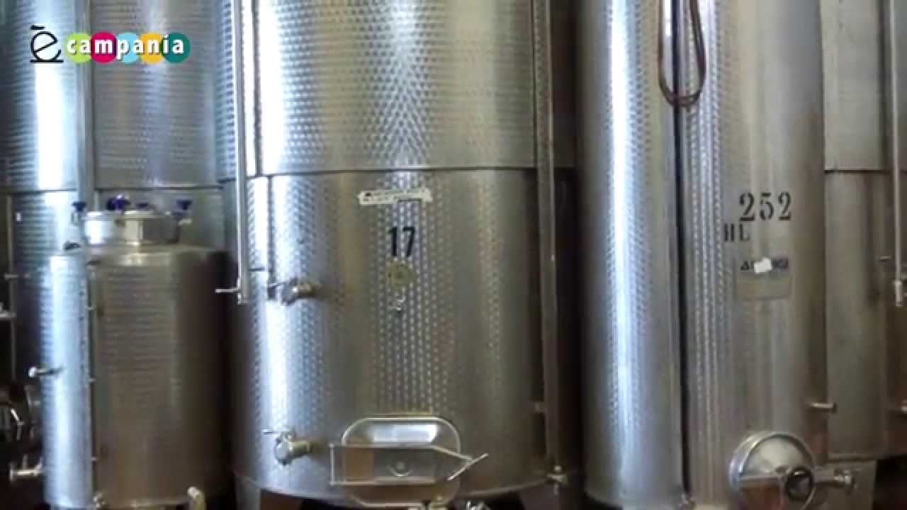 La Cantina di Solopaca