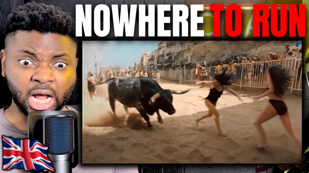 WHEN ANIMALS GO ON A RAMPAGE CAUGHT ON CAMERA! - Brit Reacts