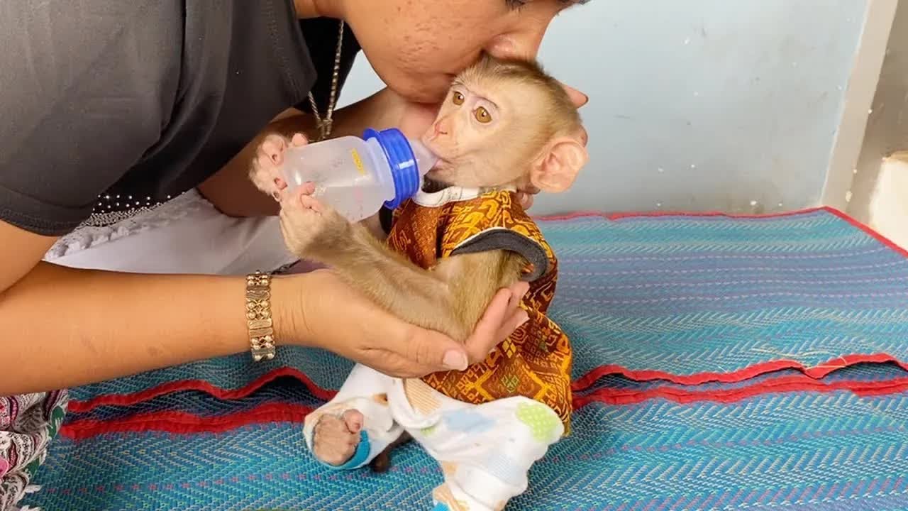Mom Give A Sweet Kiss For Outstanding DAM Can Carry Bottle Drink Water
