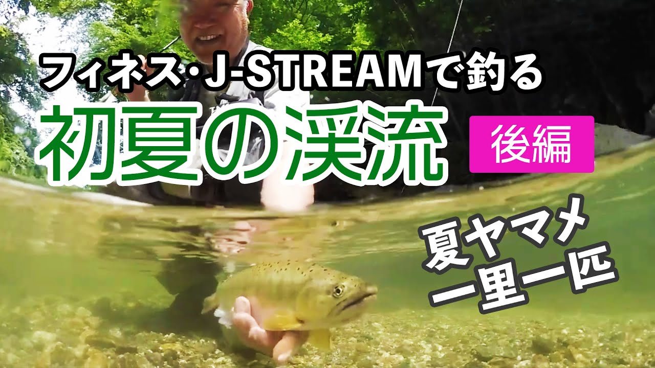【後編】フィネス・J-STREAMで釣る初夏の渓流 / Tiemco Fly Fishing JP / ティムコ フライフィッシング