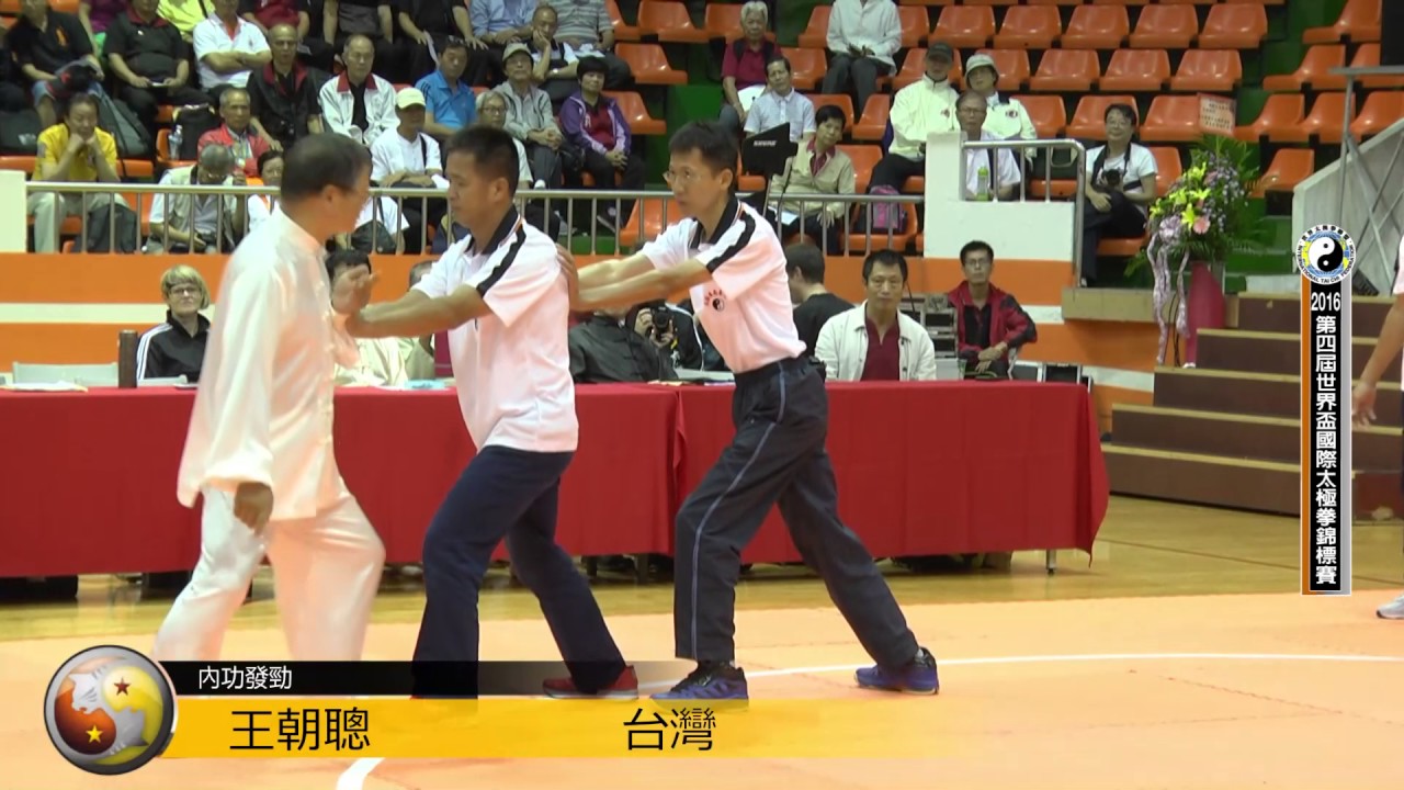 2016年第四屆世界盃名家表演(07 王朝聰 內功發勁)