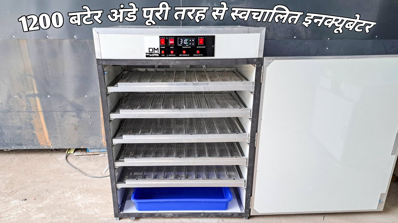 Dellmarc 1200 Quail Egg Incubator चूजों का व्यापार किया जा सकता है और पैसा कमाया जा सकता है