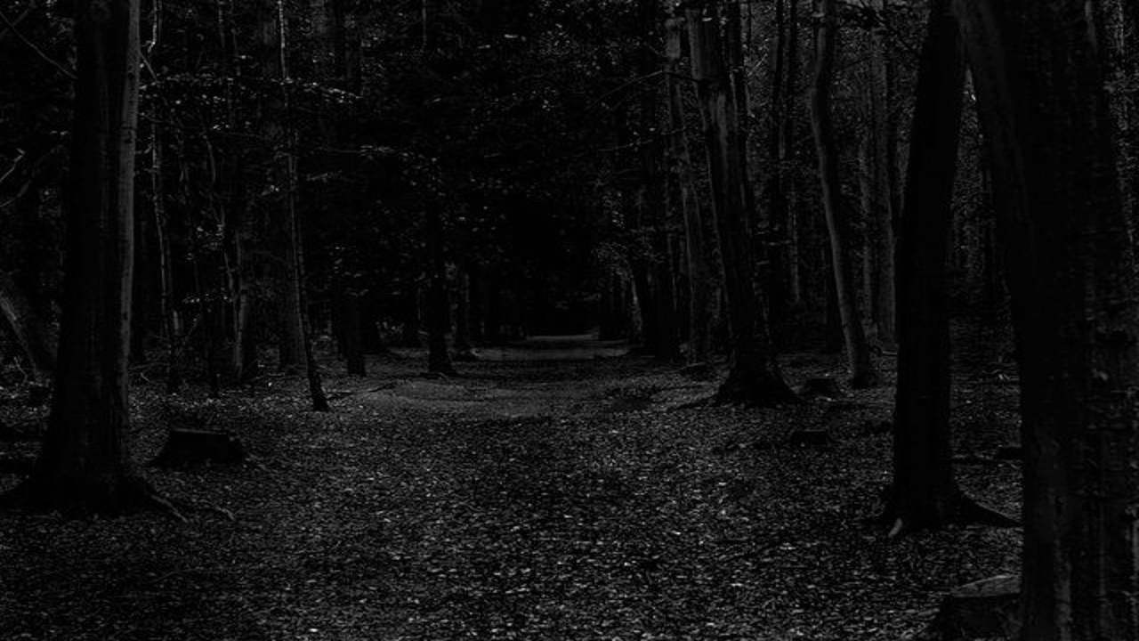 Dark Forest | Scary/Horror Intense Ambient Sound/Music