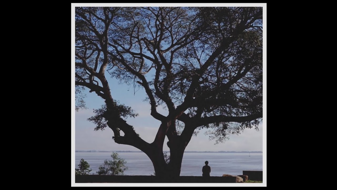 Thiago Ramil - Leve Embora (Álbum Completo) - Disco visual