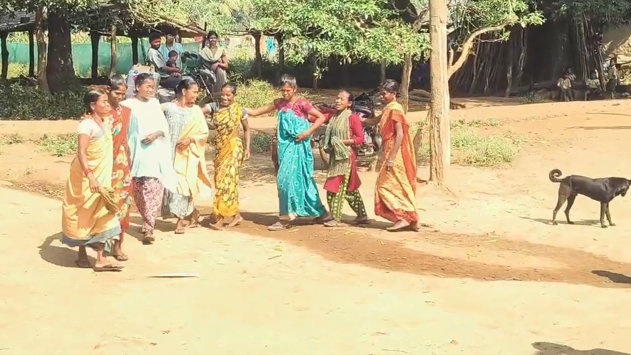 Chodirai dhimsa