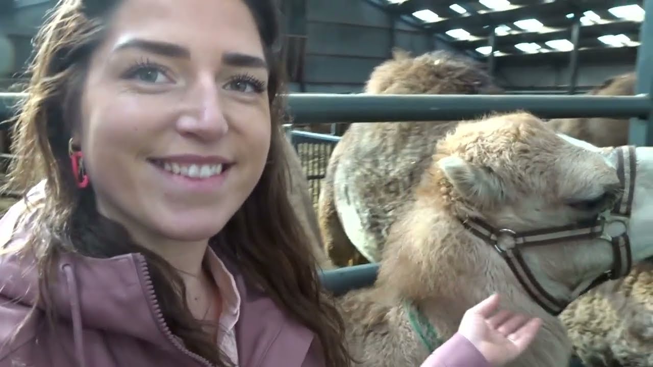 Boerin Romy - Kamelenvlog #7  Naar een kamelenmelkerij & een dag op de boerderij