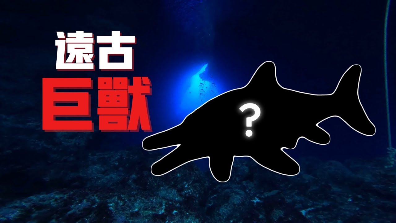 这才是真正的深海噩梦！体型超越蓝鲸，2亿年前它到底有多强？【维维Weiwei】