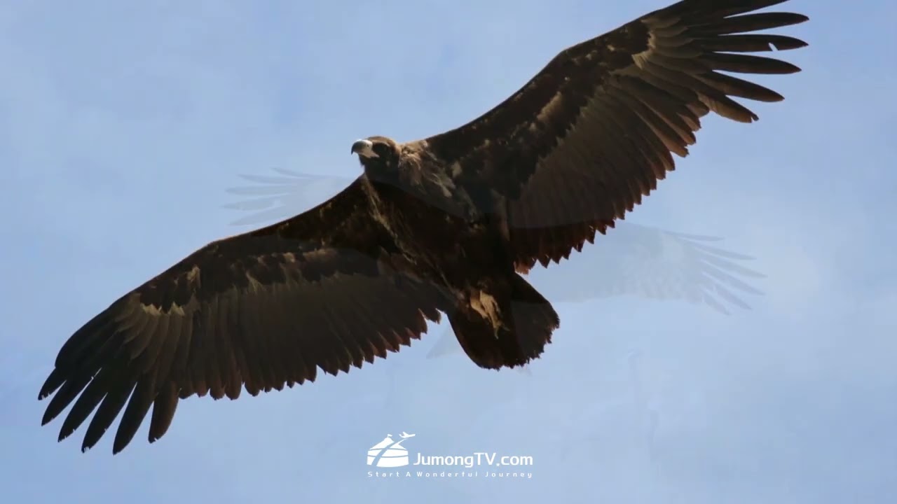 Travel to Mongolia : Whispers of Central Mongolia  - JumongTV -