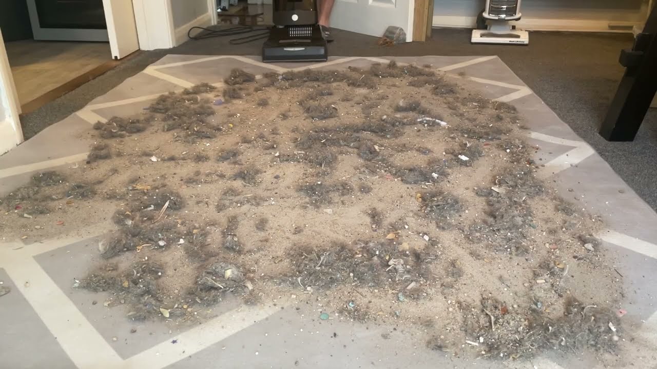 Sebo X7 Pet Boost | Natural Dirt Mix | Vacuuming | Mess Test |