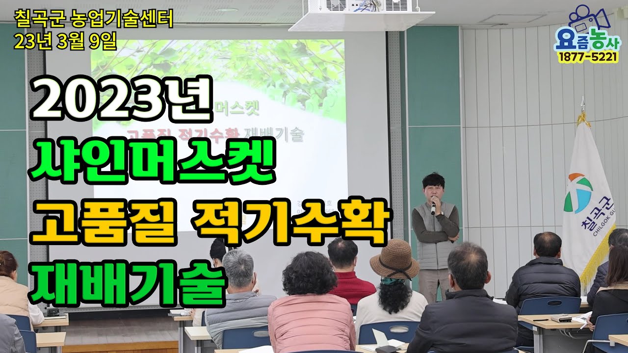 칠곡군 샤인머스켓 고품질 적기수확 재배기술 교육 영상