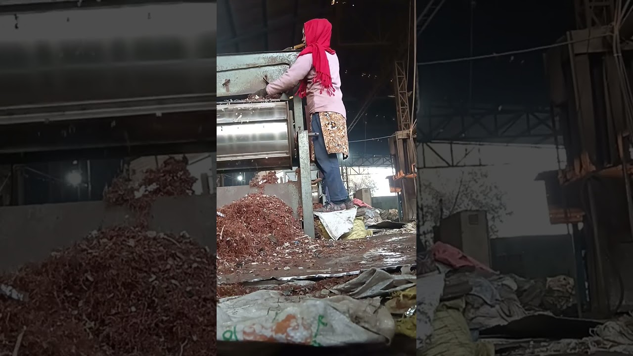 25 फ़रवरी 2026