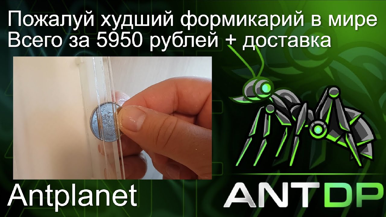 Очень плохой формикарий от antplanet