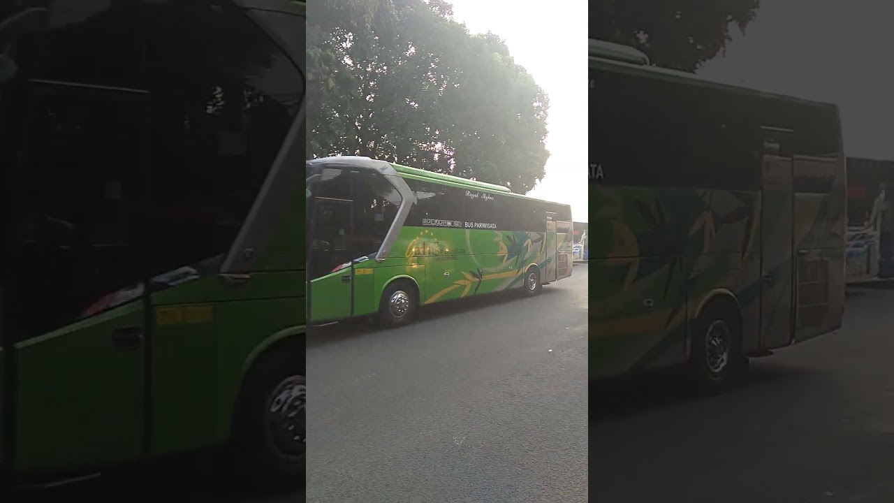 PO Gading Transwisata Ft Legacy SR1 #shorts #busmania #buspariwisata #legacysr1 #laksana