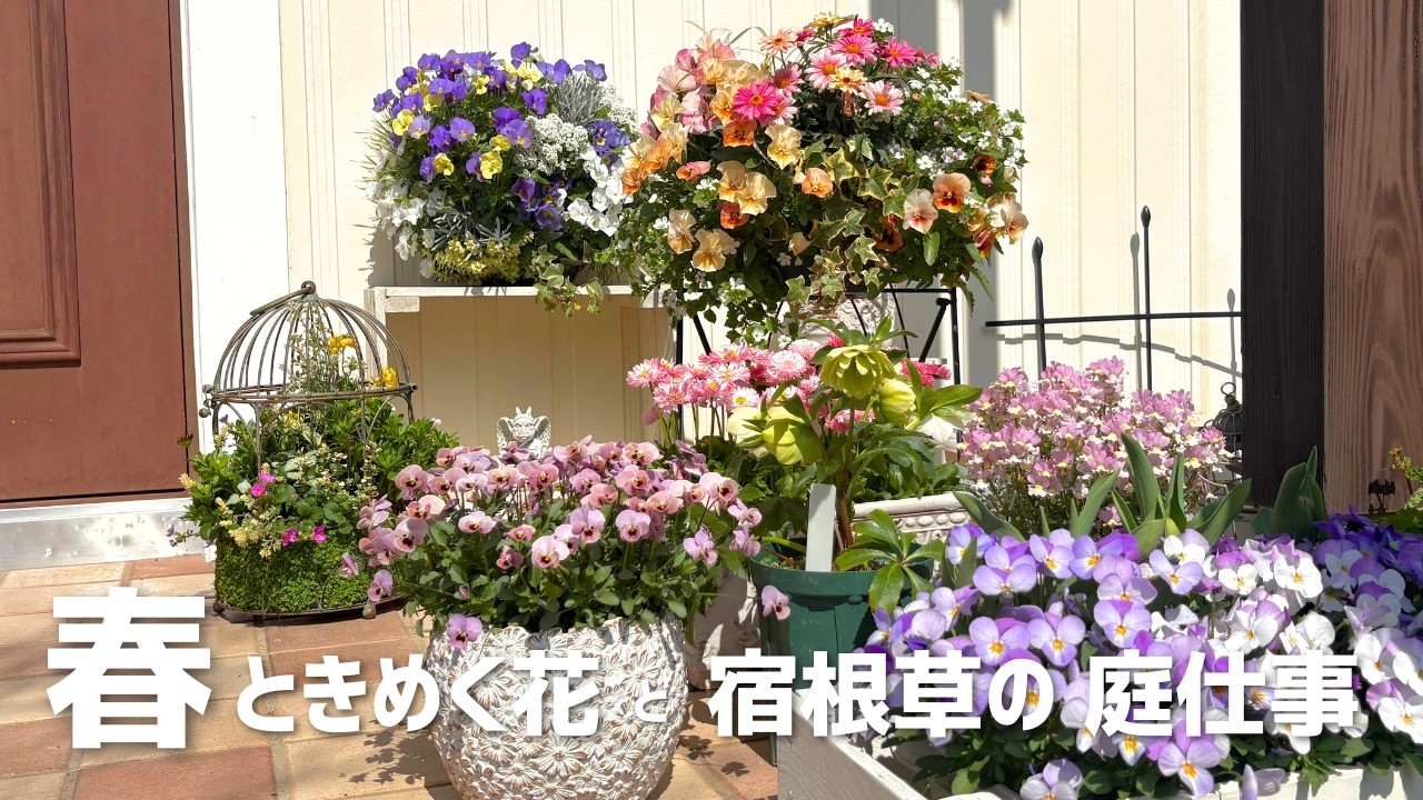 春の庭　時間がない私のローメンテな庭造り　植えっぱなし ナチュラルガーデンを目指す庭にハンギングで華やかさを加える　宿根草・おすすめの花