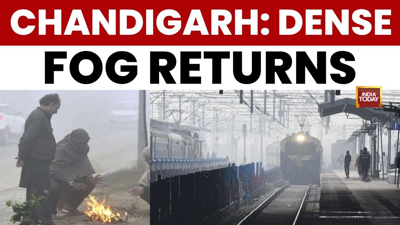 Chandigarh Fog: Dense Layer Envelops City After Two-Day Breather, Temperature at 11&deg;C
