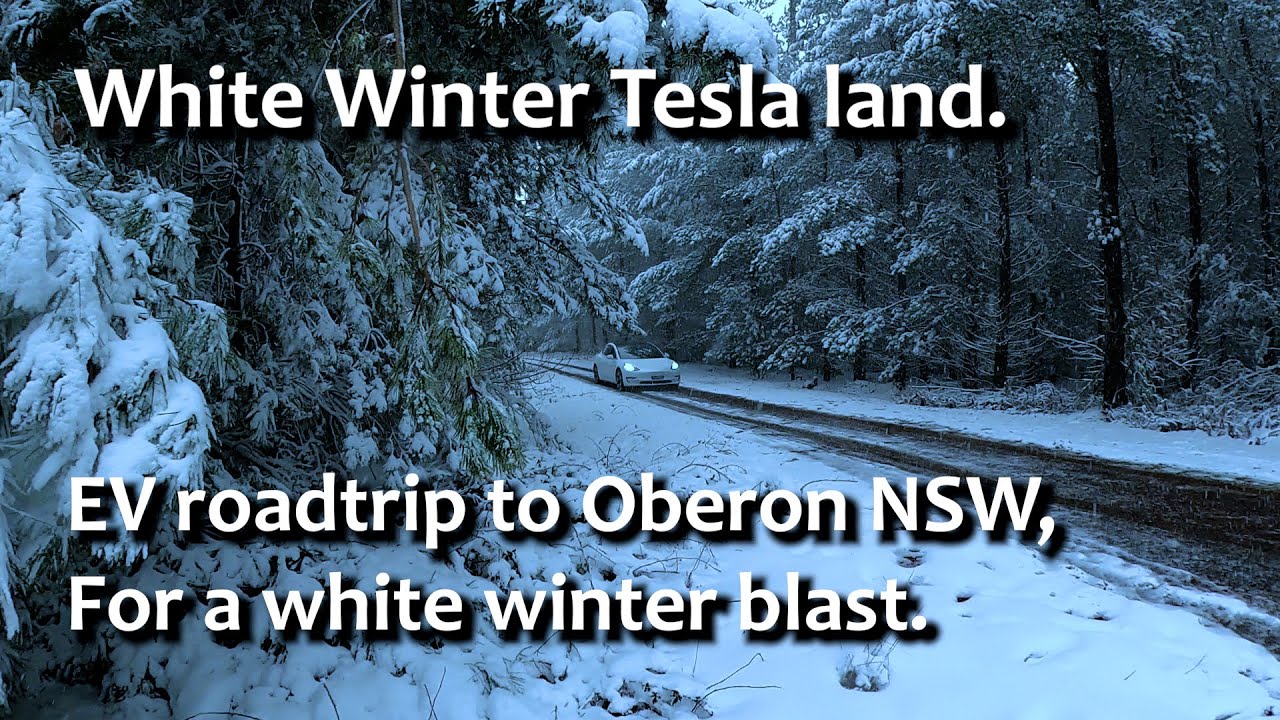 White Winter Tesla Wonderland