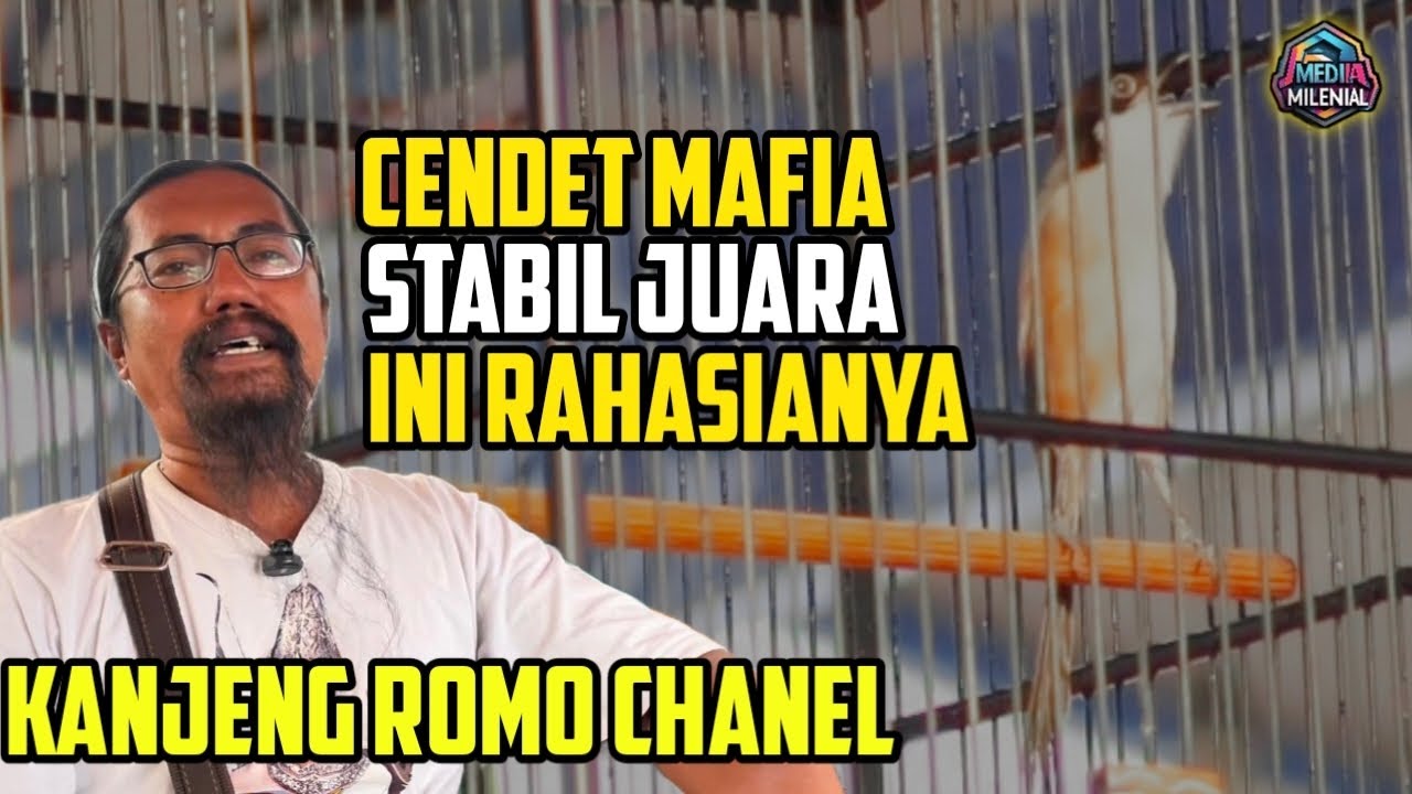 CENDET MAFIA KANJENG ROMO ‼️ STABIL JUARA BEGINI ASAL USULNYA