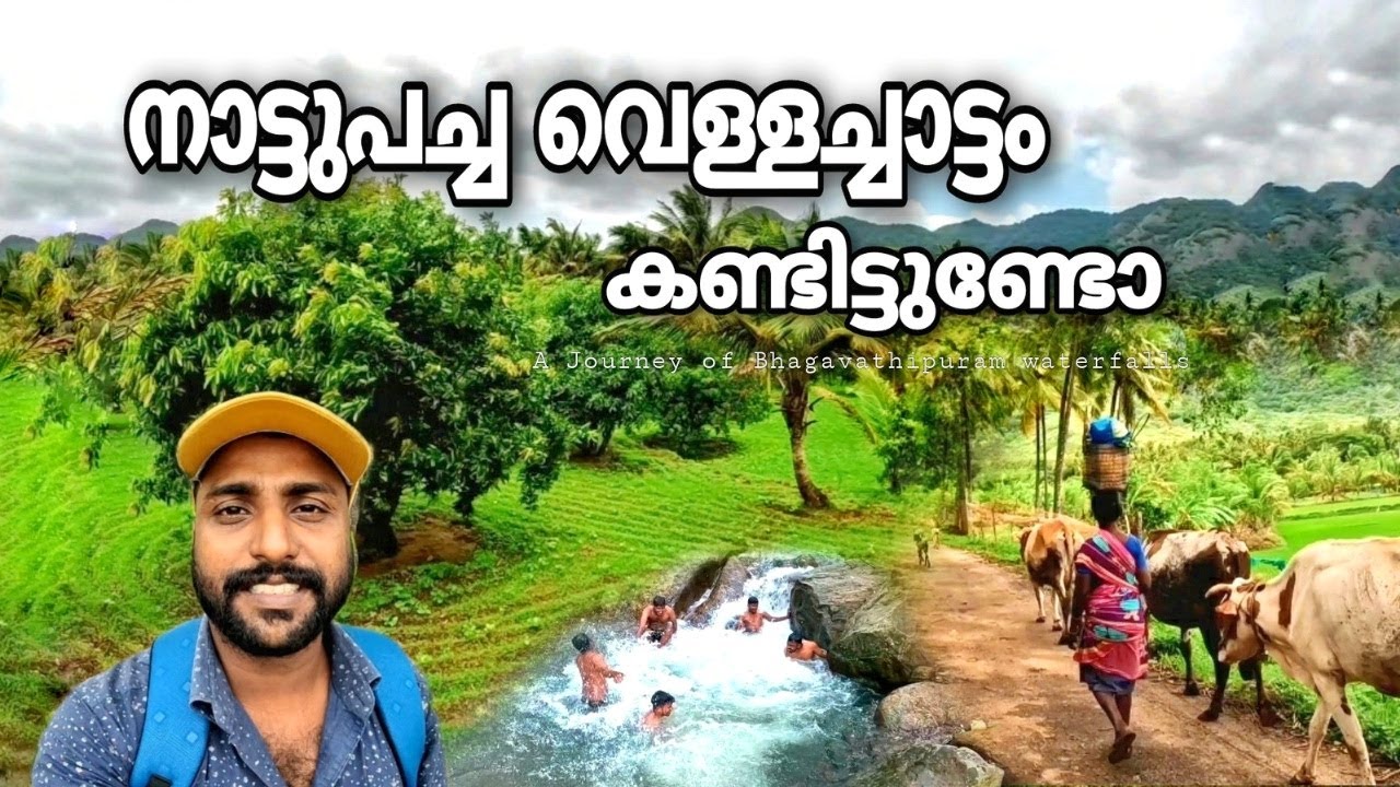 പുളിയറയിലെ വെള്ളച്ചാട്ടം കണ്ടിട്ടുണ്ടോ | bhagavathipuram waterfalls | puliyarai
