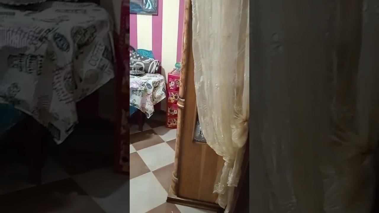 وانا بنفض واغسل علشان اسبايدر مان جاي يزورنا ف العيد🤣🤣 