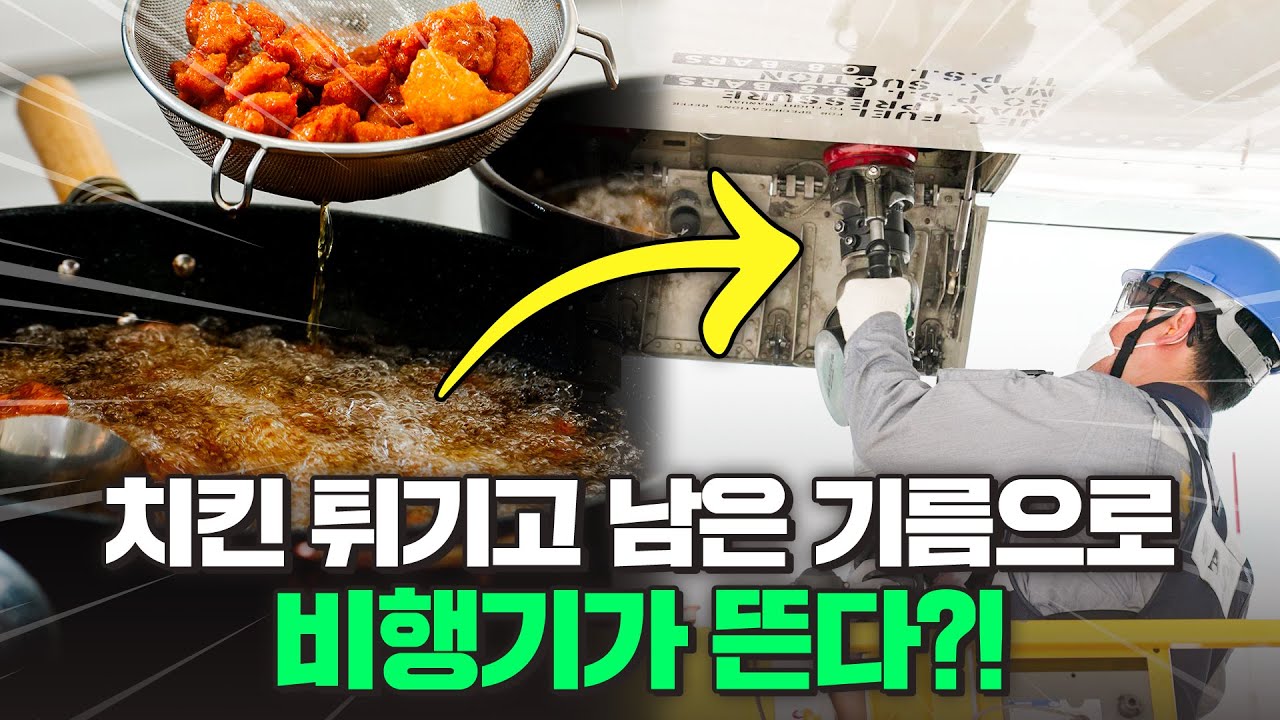 폐식용유, 옥수수 생산 폐기물 등 비행기 연료로 사용한다?✈️