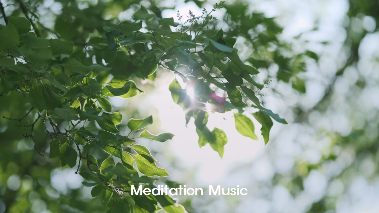 몸과 마음을 편안하게 하는 명상음악 | Meditation Music