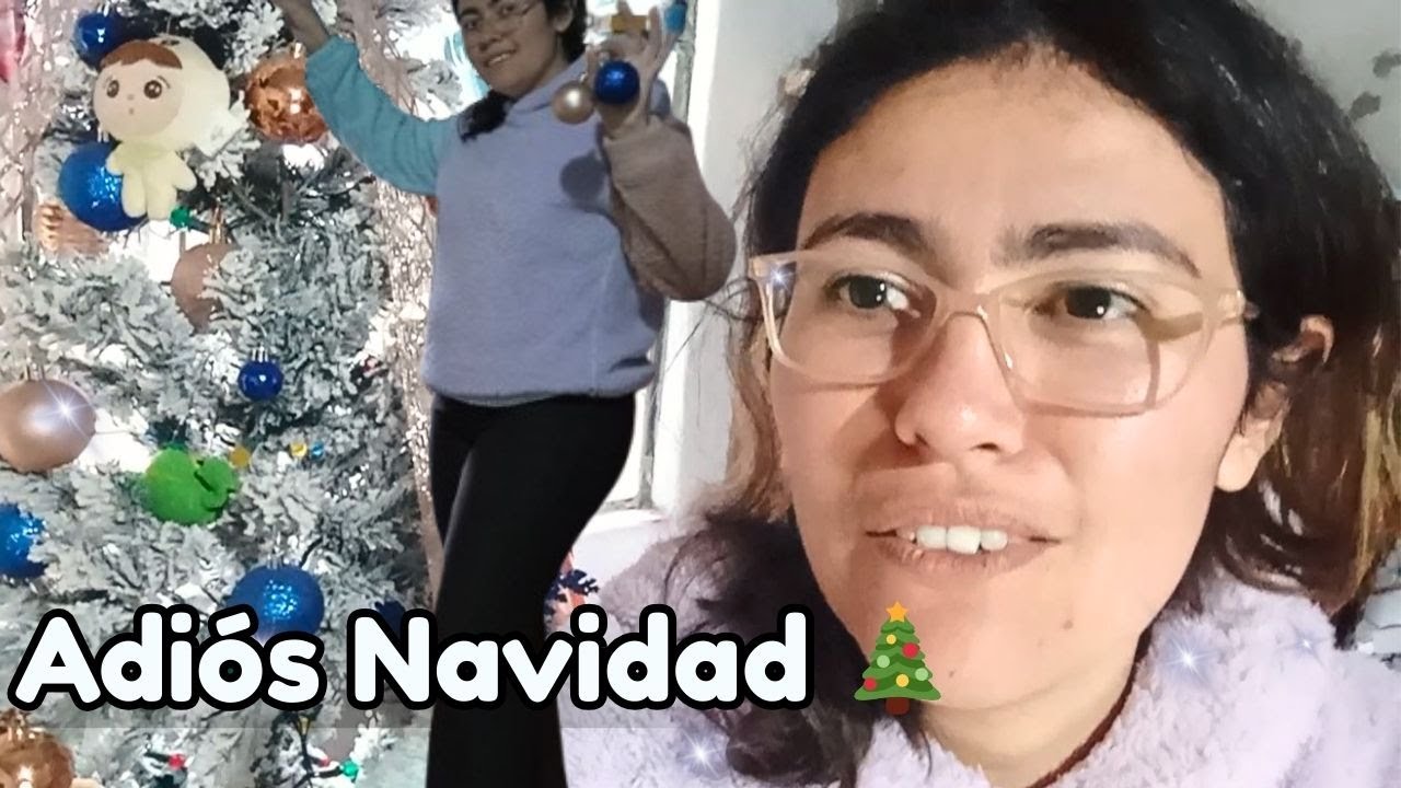 Adiós Navidad 🎄 | Un poco de mi día
