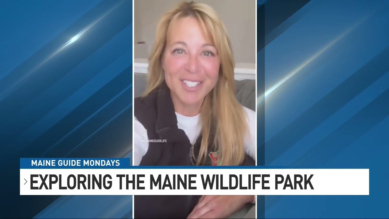 Maine Guide Mondays: Exploring the Maine Wildlife Park