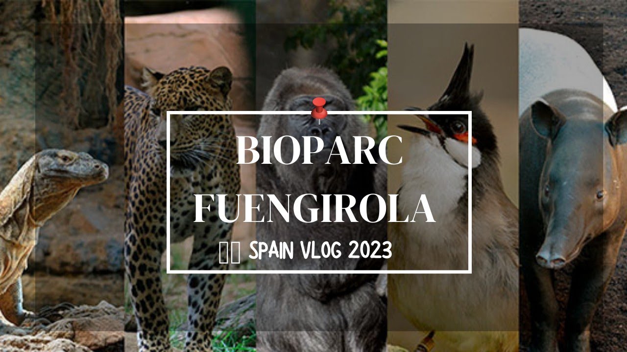 A TRIP TO BIOPARC ZOO IN FUENGIROLA, COSTA DEL SOL,SPAIN / FULL TOUR MARCH 2023.