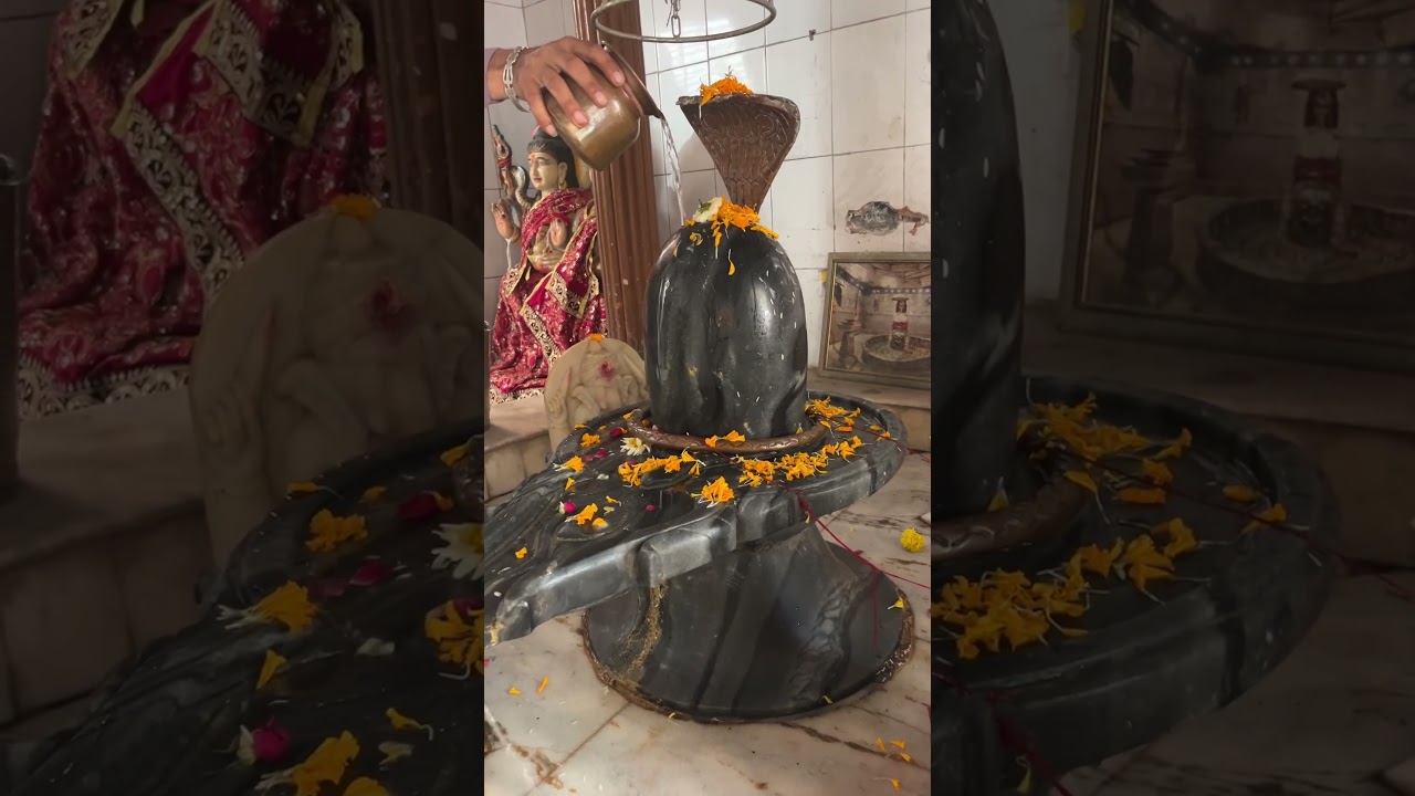 सब को भगवान शंकर की आराधना करनी चाहिए #premanandjimaharaj #bhajanmarg #viral #youtubeshorts #bhakti