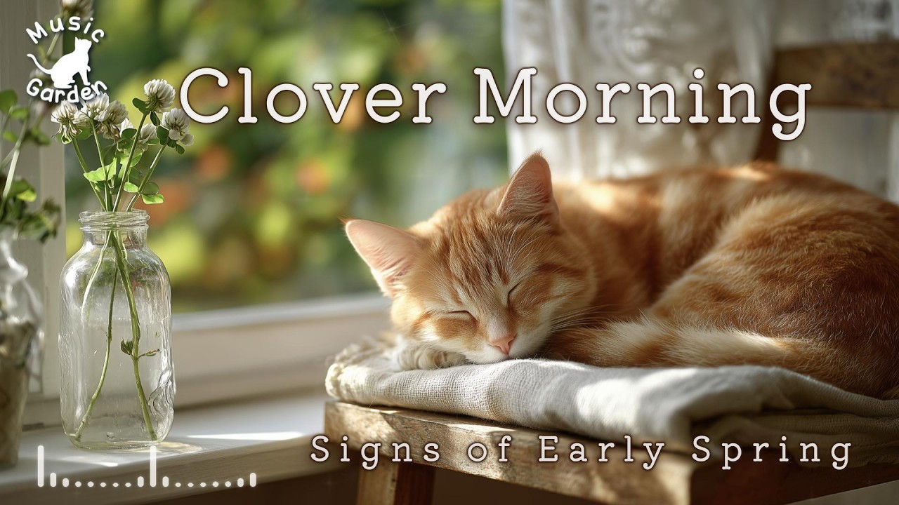 Relaxing Piano BGM 🎹 Clover Morning | Early Spring Light | Study & Calm Mood | Signs of Early Spring