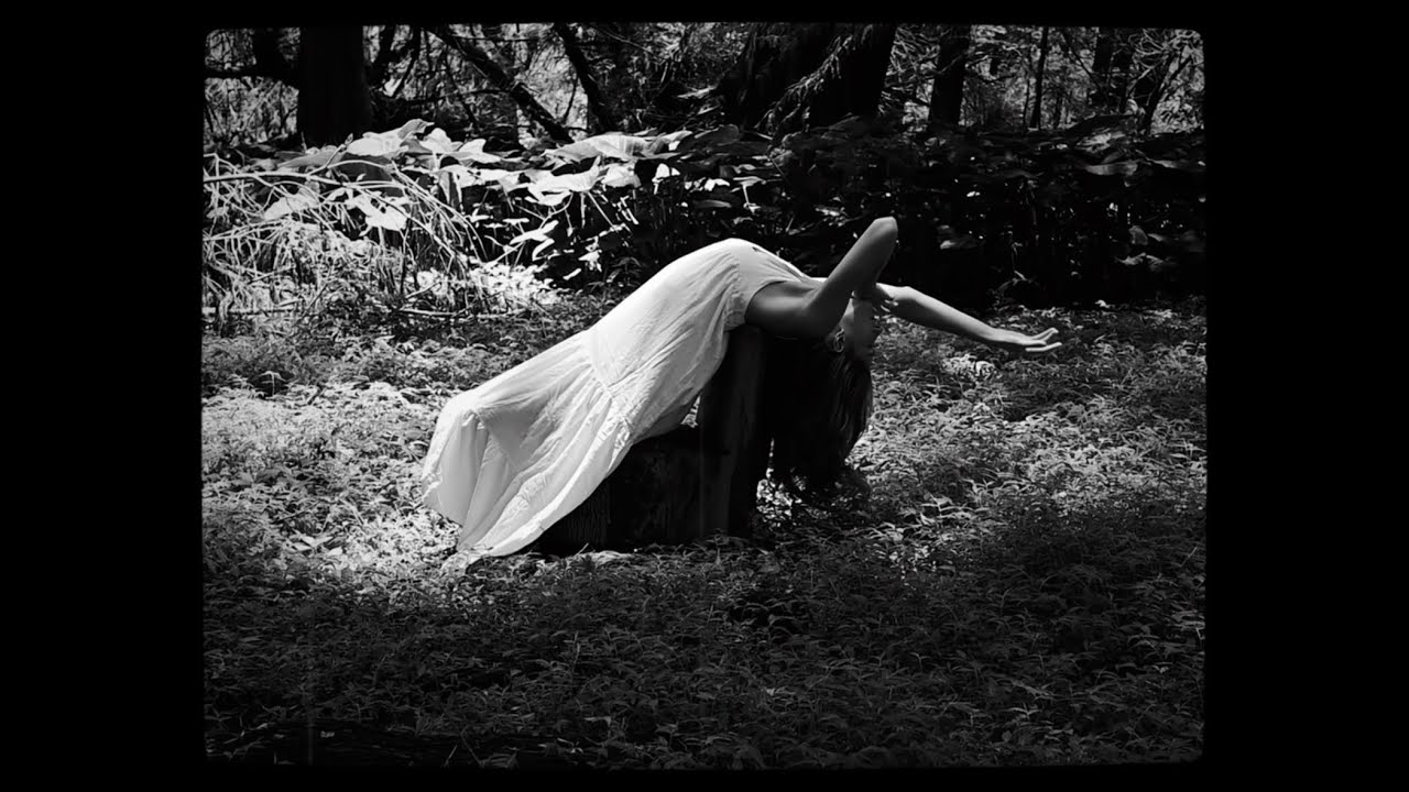 Audrey McGraw - Gone Away (Visualizer) 