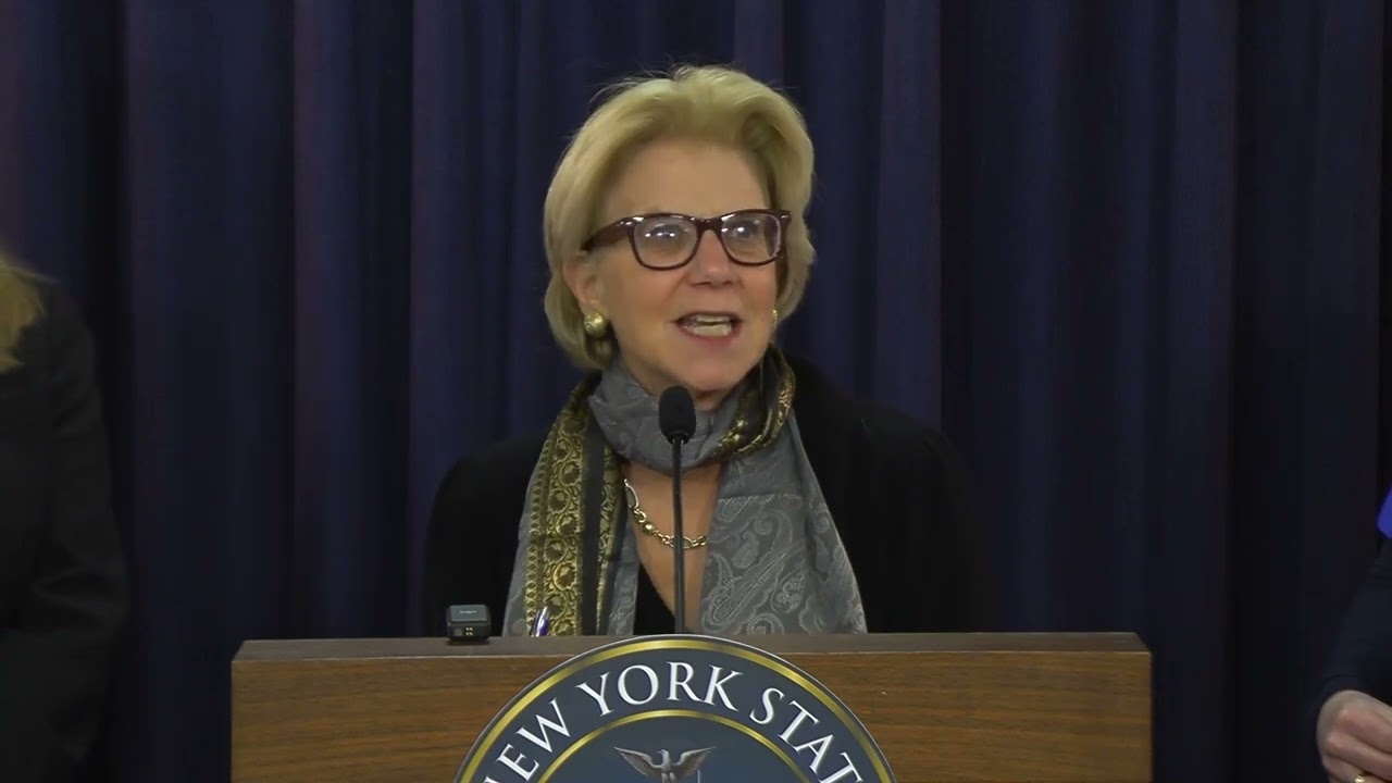 State Sen. Shelley Mayer's Remarks during Press Conference on Civic Education with DemocracyReadyNY