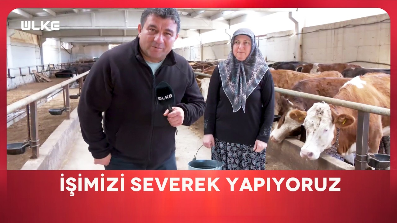 Atalarımızdan Kalma Sağım Yöntemini Devam Ettiriyoruz | En İyisi Gezmek | Ankara