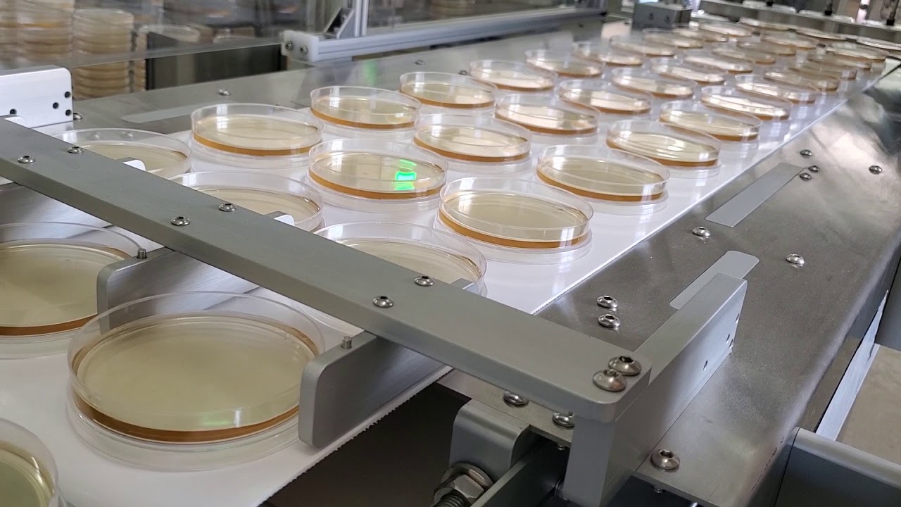 IQ-M800 Petri Dish Filling Machine Full Run Video!