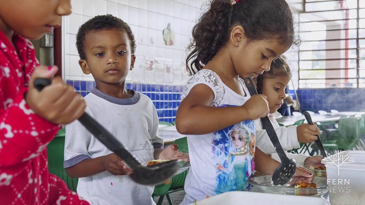Feeding the future: Brazil's school-lunch program nourishes kids and farmers