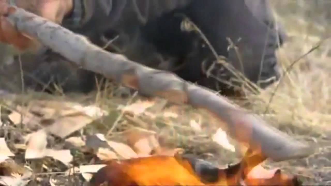 YTP - Bear Grylls nel paese della carta igienica