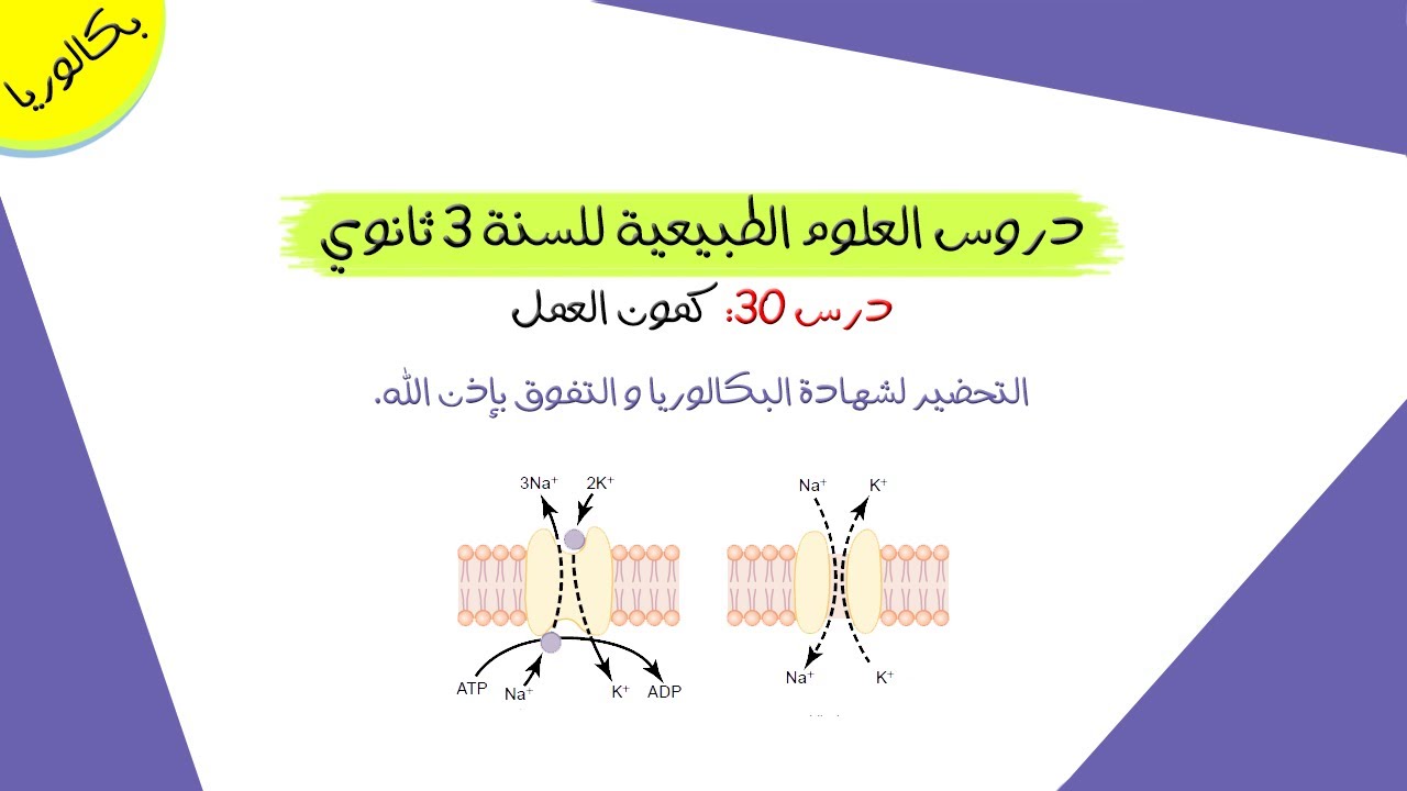 درس 30: كمون العمل | بكالوريا علوم تجريبية