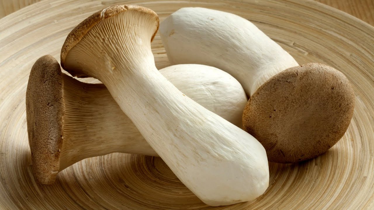 King Oyster Mushroom | Mushroom Recipe | Eryngii Mushroom