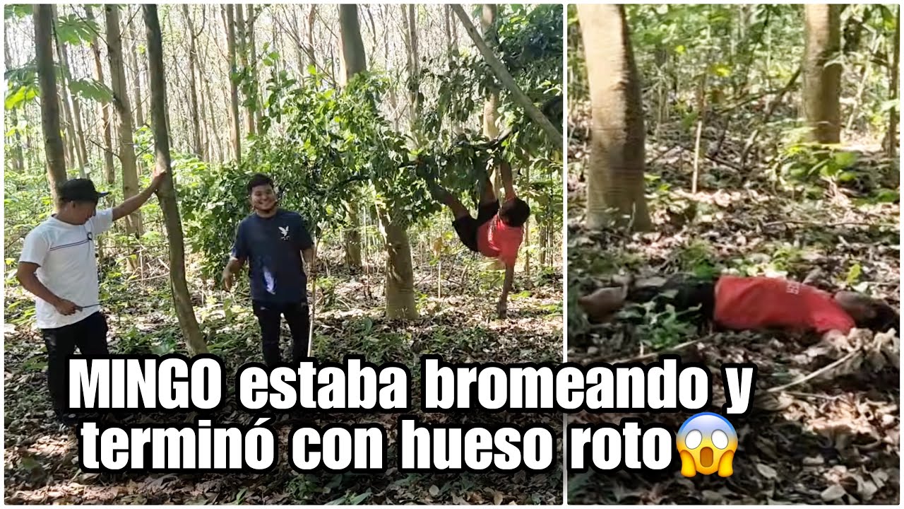 Última HORA MINGO se destapó la cabeza se calló del palo😭