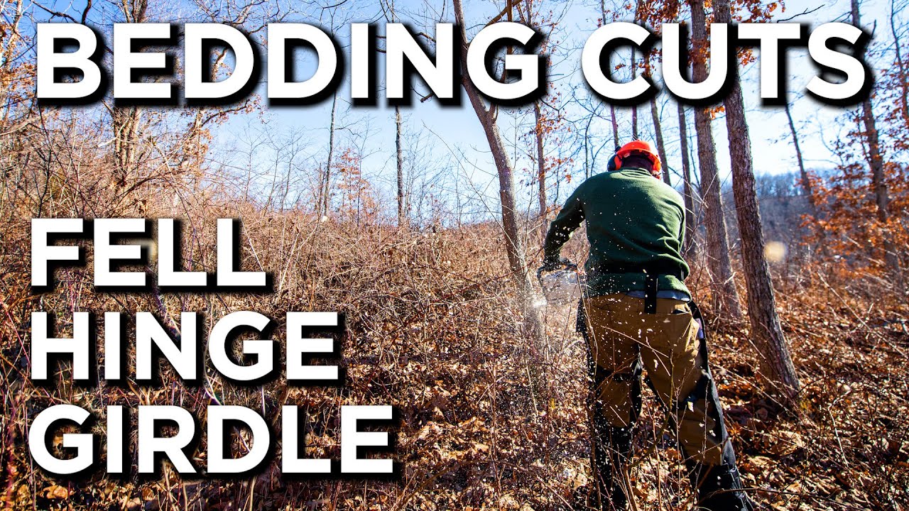 Ultimate Guide To Deer Bedding Thickets!