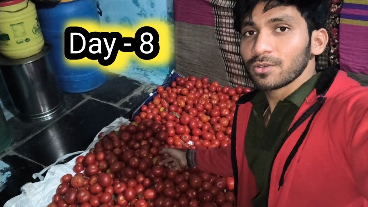 Itna Sara Tamatar Magar Kyu 🤔