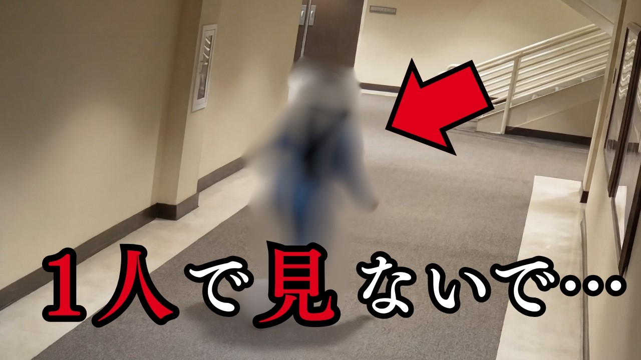【海外心霊映像】海外心霊映像は本当に実在するのか？&hellip;【総集編】
