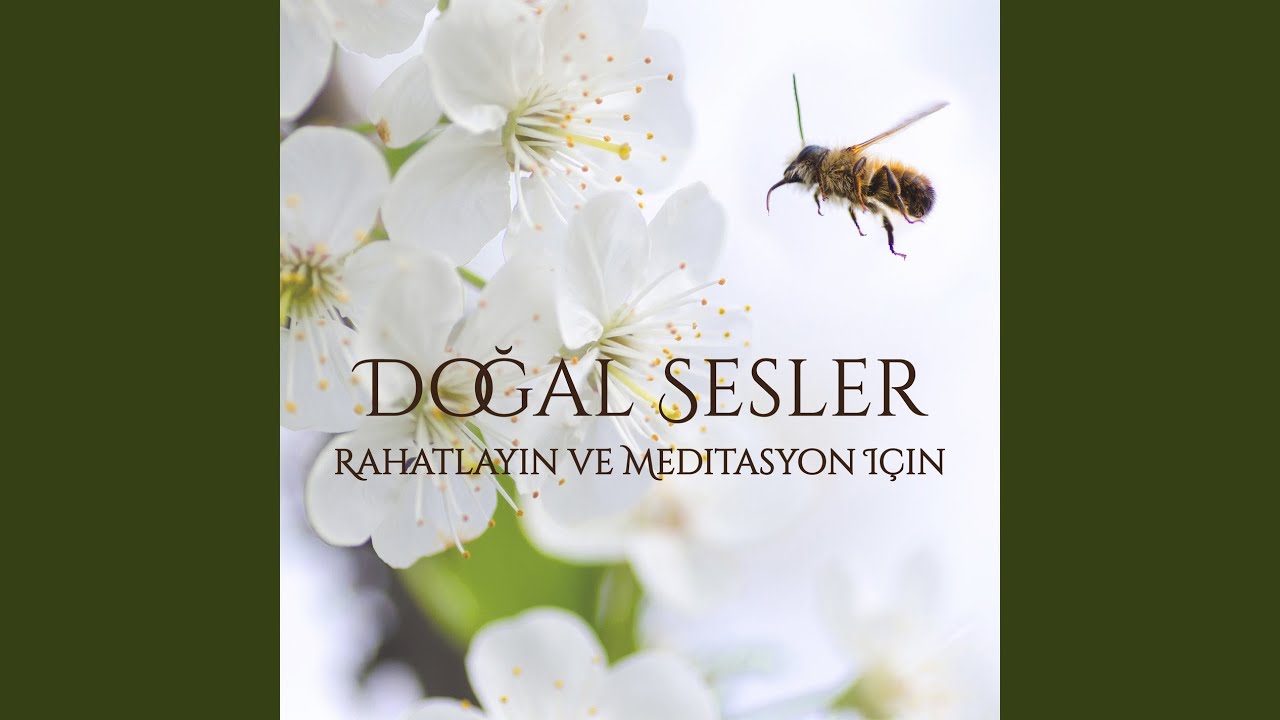 Doğal Sesler