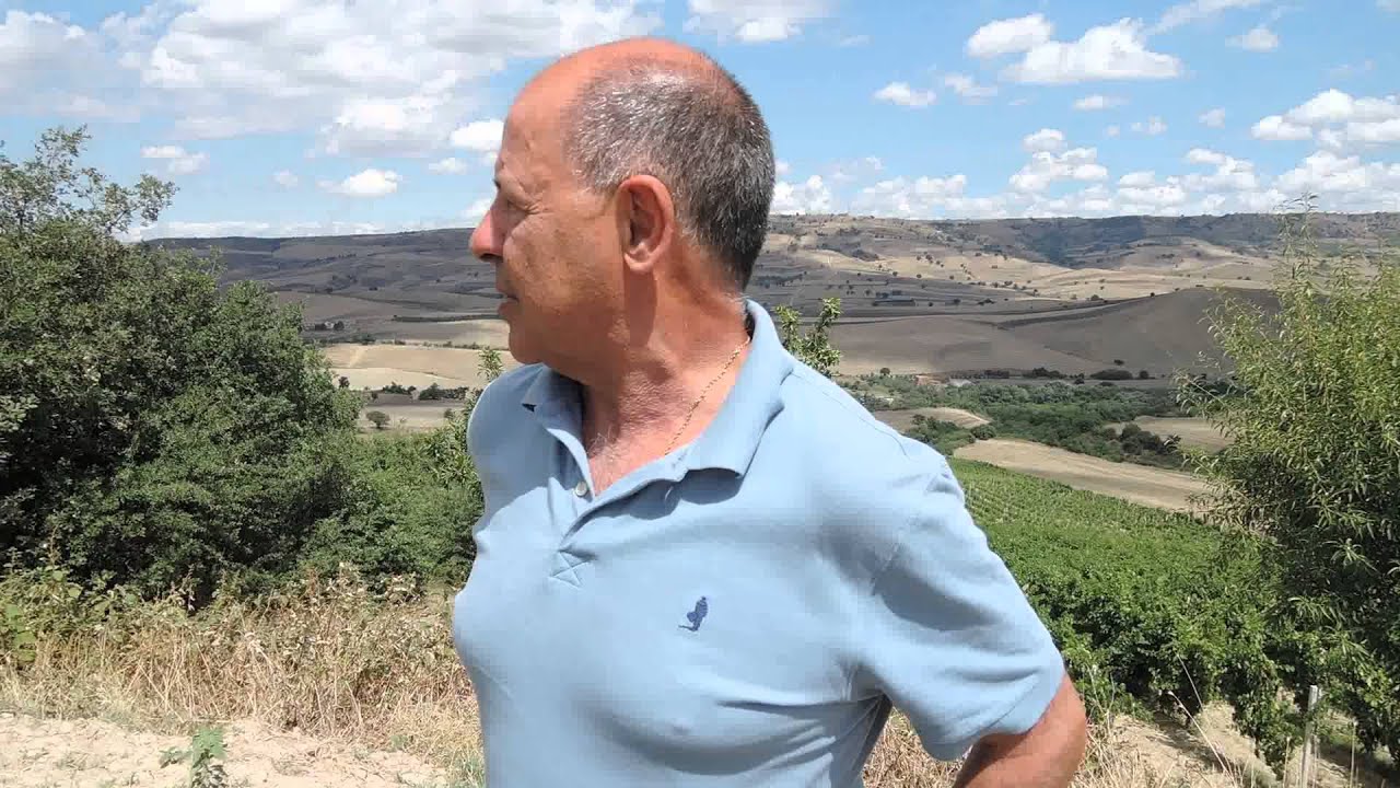 Vigneti Aglianico del Vulture